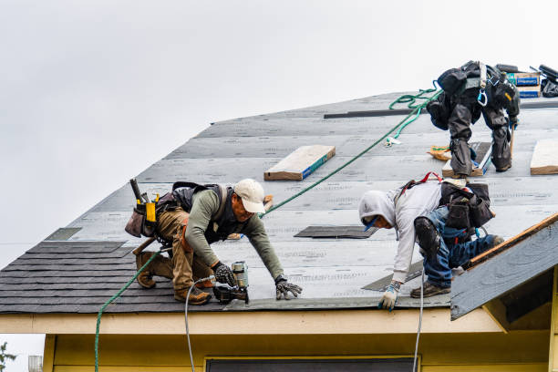Professional Storm Damage Roof Repair technician working in De Mossville, KY